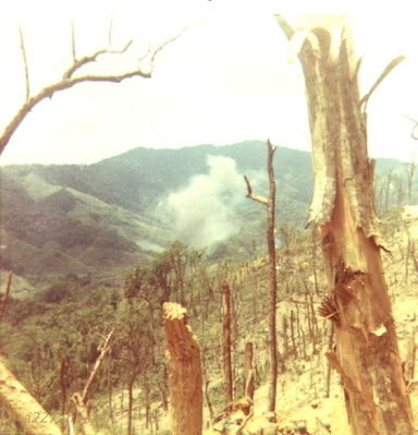 A Shau From Tiger
Lt. Mike Sprayberry photo provided by Bob Witt

Looking (Northwest) down the road around the bottom of LZ Tiger - April 1968
