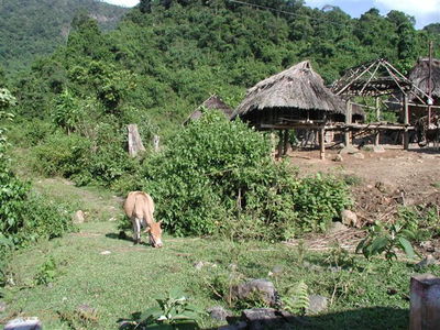 Tribal Village on Northside of Tiger
Doc McBride Photo

Modern Day A Shau

From Bob Witt. "Doc Mcbride, Mike Sprayberry's medic at LZ Tiger, took these pictures on his return trip to Vietnam. He returned the A Shau to look for his unit's MIA's lost at Tiger. Doc fortunately survived serious wounds received on the road below Tiger on April 25, 1968. Mike Sprayberry received the MOH for going out that night to rescue Doc & the rest of his patrol. Their unit was on board for the first Combat Assault's into LZ Tiger."

