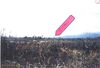 010WittAshau C130 Going Down.jpg