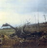 016WittAshau C130 Fragments.jpg