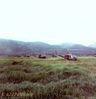 Filename=033McBApril19,1968Lift-offintoAShauValley.jpg
Filesize=42KiB
Dimensions=408x419
Date added=Feb 15, 2010 033McBApril19,1968Lift-offintoAShauValley.jpg