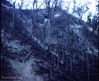 Filename=037McBMoreAShauValley.jpg
Filesize=120KiB
Dimensions=640x524
Date added=Feb 15, 2010 037McBMoreAShauValley.jpg