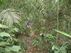 Filename=042McBAlongthetrail.jpg
Filesize=175KiB
Dimensions=640x480
Date added=Feb 15, 2010 042McBAlongthetrail.jpg