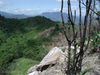Filename=045McBAttopofnorthedgeofTigerlookingwesterly.jpg
Filesize=130KiB
Dimensions=640x480
Date added=Feb 15, 2010 045McBAttopofnorthedgeofTigerlookingwesterly.jpg