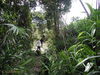 Filename=052McBCurrentstateoftrailalongbaseofTigerMtn.jpg
Filesize=169KiB
Dimensions=640x480
Date added=Feb 15, 2010 052McBCurrentstateoftrailalongbaseofTigerMtn.jpg