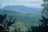 Filename=069McBNorthwestfromTigertowardnotchedmtn.jpg
Filesize=98KiB
Dimensions=640x432
Date added=Feb 15, 2010 069McBNorthwestfromTigertowardnotchedmtn.jpg