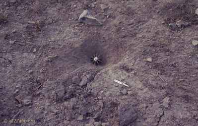 Unexploded mortar shell
John Keller Photo

Possible unexploded mortar shell after attach in September 1966 at the Golf Course near the 228th Chinook area.

