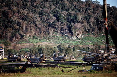 Chinooks on the Golf Course, An Khe
Photo by Marvin Wolf, PIO photographer, 1CAV

Did you notice the foliage in the shot looking toward the base of Hon Cong Mountain: Most of the trees are dead or dying. Agent Orange, of course.

