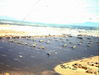 CS01AirBaseDaNang66.jpg