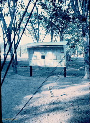 Bert Williams Photo
Lai Khe AO
