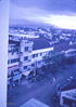 Filename=BertWilliams082.jpg
Filesize=290KiB
Dimensions=705x997
Date added=Jun 18, 2011 BertWilliams082.jpg