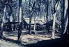 Filename=BertWilliams093.jpg
Filesize=424KiB
Dimensions=1019x699
Date added=Jun 18, 2011 BertWilliams093.jpg
