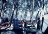 Filename=BertWilliams098.jpg
Filesize=471KiB
Dimensions=1002x711
Date added=Jun 18, 2011 BertWilliams098.jpg