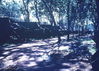 Filename=BertWilliams099.jpg
Filesize=501KiB
Dimensions=993x710
Date added=Jun 18, 2011 BertWilliams099.jpg