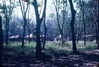 Filename=BertWilliams107.jpg
Filesize=490KiB
Dimensions=999x678
Date added=Jun 18, 2011 BertWilliams107.jpg
