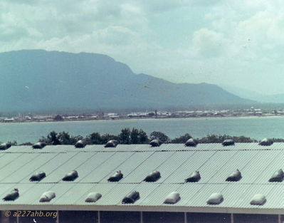 Looking west over roof tops
Bill Flora Photo
