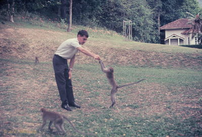Bob Kelly at "Monkey Gardens"
Bob Kelly Photo

R&R in Penang, Malasia


