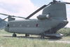 Filename=101WittEvans Chinook.jpg
Filesize=105KiB
Dimensions=766x514
Date added=Feb 12, 2010 101WittEvans Chinook.jpg