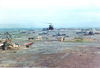 Filename=106WittEvans Final to Revetment.jpg
Filesize=152KiB
Dimensions=818x558
Date added=Feb 12, 2010 106WittEvans Final to Revetment.jpg