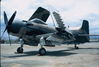 244R4K87.jpg