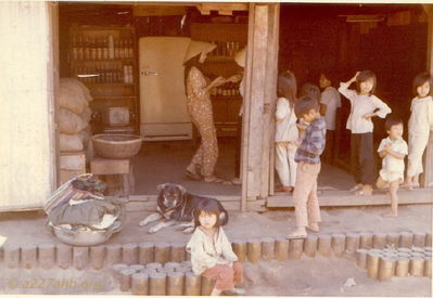 Downtown Pleiku
Steve Lachiondo Photo

Downtown Pleiku 1971
