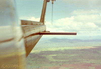 In Flight Tail
Steve Lachiondo Photo
