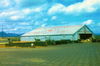 Filename=034-604th_Hanger.jpg
Filesize=126KiB
Dimensions=700x462
Date added=Feb 15, 2010 034-604th_Hanger.jpg