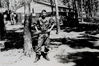Filename=WCarlisle29.jpg
Filesize=393KiB
Dimensions=1169x781
Date added=May 18, 2017 WCarlisle29.jpg