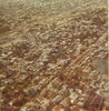 SC002.jpg