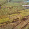 SC006.jpg