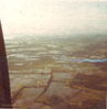SC008.jpg