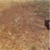 SC010.jpg