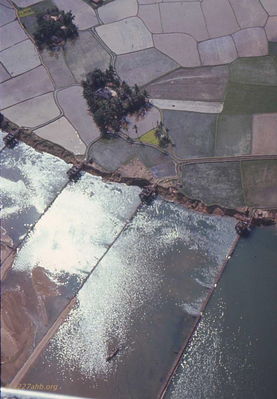 Rice Paddies 
Cliff Richard Photo
