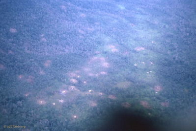 B 52 Bombing Pattern 
Cliff Richard Photo
