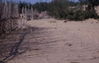Filename=CliffRichard069.jpg
Filesize=289KiB
Dimensions=1188x755
Date added=Jun 26, 2011 CliffRichard069.jpg
