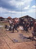 Filename=CliffRichard089.jpg
Filesize=212KiB
Dimensions=605x815
Date added=Jun 26, 2011 CliffRichard089.jpg