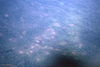 Filename=CliffRichard193.jpg
Filesize=260KiB
Dimensions=1187x797
Date added=Jun 26, 2011 CliffRichard193.jpg