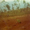 Filename=JC69.jpg
Filesize=164KiB
Dimensions=739x736
Date added=Jan 05, 2010 JC69.jpg
