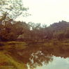 Filename=JC77.jpg
Filesize=139KiB
Dimensions=744x742
Date added=Jan 05, 2010 JC77.jpg