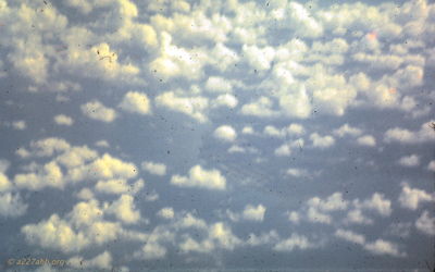Craig Tonjes Photo

