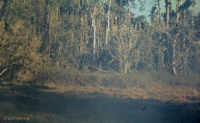 Craig Tonjes Photo
