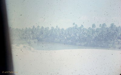 Craig Tonjes Photo
