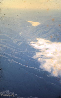 Craig Tonjes Photo
