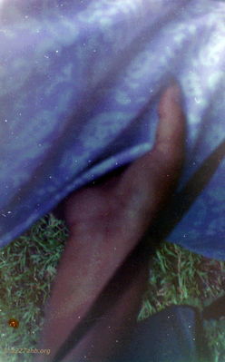 Craig Tonjes Photo
