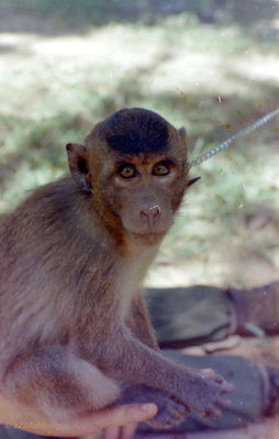 Craig Tonjes Photo
