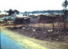 CraigTonjes133.jpg