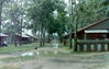 CraigTonjes351.jpg