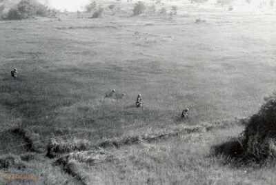 "Grunts" looking for Charlie
Dan Nichols Photo
Provided by his family
