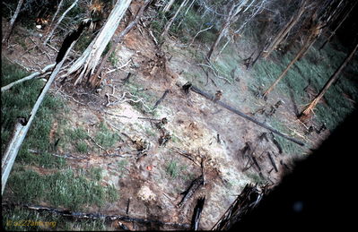 Landing Zone
Dave Ondrey Photo

