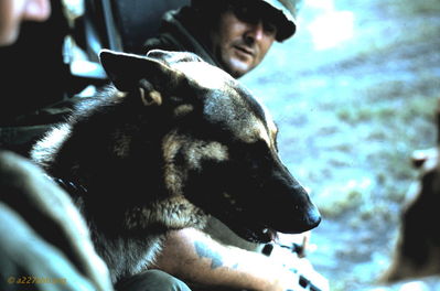 Long Range Patrol
Dave Ondrey Photo
